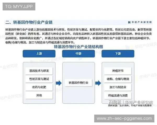 投资CBA球队的商业模式及盈利分析 投资CBA球队的商业模式及盈利分析