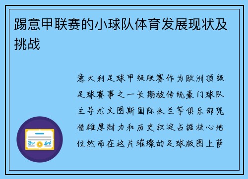 踢意甲联赛的小球队体育发展现状及挑战