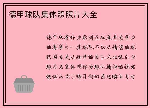 德甲球队集体照照片大全
